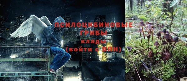 PSILOCYBIN Краснотурьинск