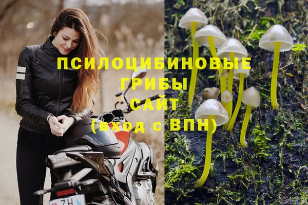 соль ск Белоозёрский