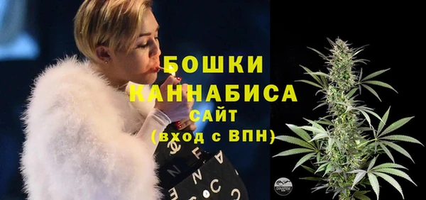 ECSTASY Белокуриха